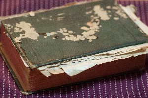 family cookbook 300w